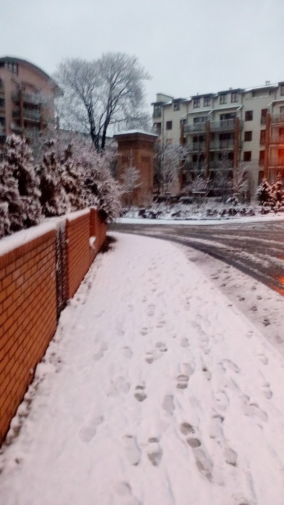 Sníh na sídlišti Sladovny Podbaba 1.3. 2016